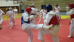 Egzamin Karate Kyokushin na stopnie szkoleniowe kyu