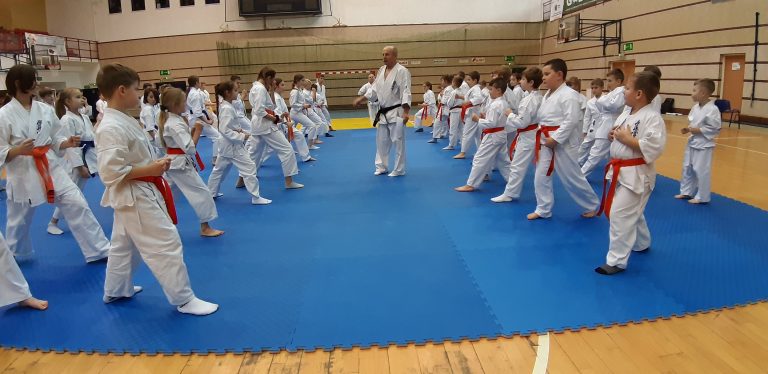 ZAPISY na treningi karate